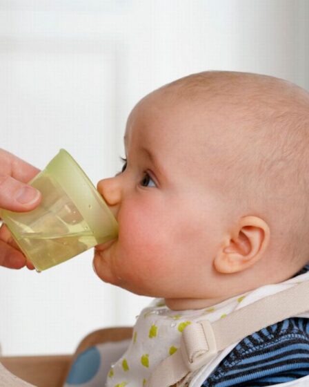 When can Babies Drink Water
